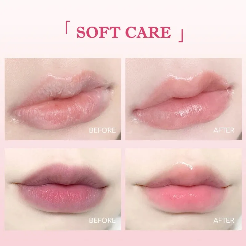 6Pcs DNM Fruit Lip Balm Set - Moisturizing & Hydrating Base for Men & Women (Multi-Flavors)