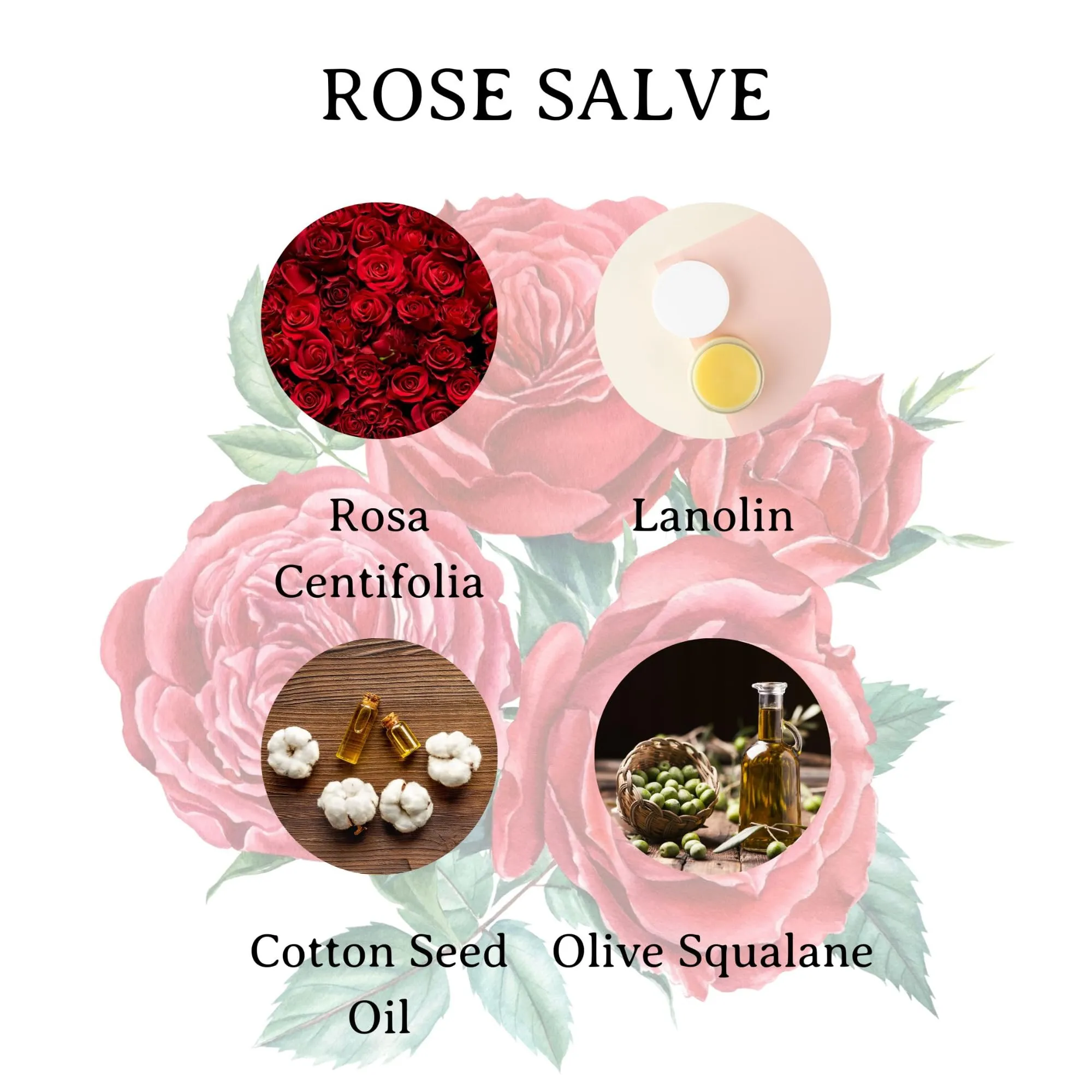 C.O. Bigelow All Purpose Salve Lip Balm Tins, Rose Salve Pack of 3 for Chapped Lips & Dry Skin - Moisturizing Lip, Cuticle 0.8 oz each
